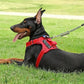Service Dog Harness & Leash Set with 1pc Folding Bowl Reflective Adjustable Dog Vest Harness Soft Oxford Pet Harness For Small M