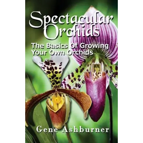 Spectacular Orchids: The Basics Of Growing Your Own Orchids