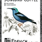 SongBird French