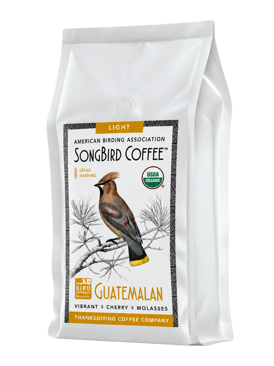 SongBird Guatemalan