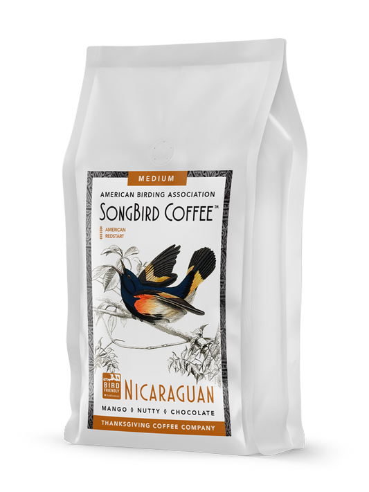 SongBird Nicaraguan