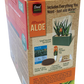 Aloe Seed Square Terrarium
