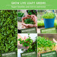 10-Variety Heirloom Microgreen Seed Pack – Non-GMO Seeds for Indoor Growing, Sprouting & Year-Round Nutrition