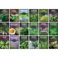 18 Culinary Herb Seed Collection – Heirloom Herbs for Cooking, Teas, Remedies & Year-Round Kitchen Gardens