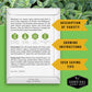 Drought-Tolerant Herb & Flower Seed Kit – 8 Full-Sun, Xeriscape-Friendly Varieties for Low-Water Gardens