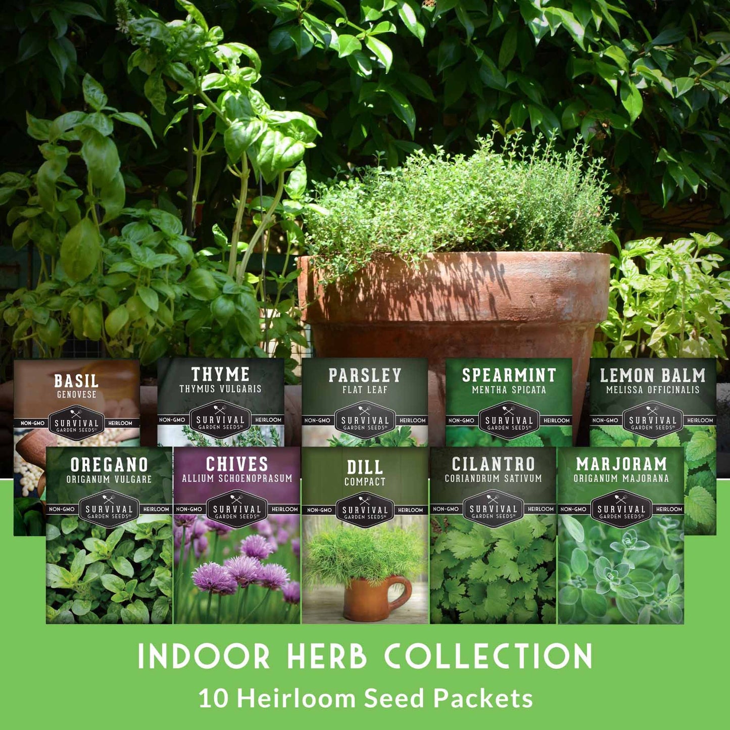 Indoor Herb Garden Seeds Variety Pack – 10 Heirloom Culinary Herbs for Windowsill or Container Growing
