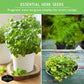 Indoor Herb Garden Seeds Variety Pack – 10 Heirloom Culinary Herbs for Windowsill or Container Growing