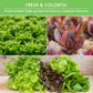 10 Lettuce Seed Collection – Looseleaf, Romaine, Butterhead & Crisphead Varieties for Year-Round Salad Harvests