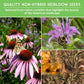 Native Habitat Seed Collection – 24 Native Wildflowers & Grasses for Pollinators, Meadows & Low-Maintenance Landscapes