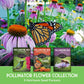 Pollinator Flower Seed Collection - Wildflower Mixes for Bees, Butterflies & Hummingbirds