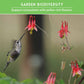 Pollinator Flower Seed Collection - Wildflower Mixes for Bees, Butterflies & Hummingbirds