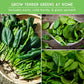 Spinach Seed Collection – 3 Heirloom Non-GMO Varieties: Viroflay, Giant Noble & Bloomsdale for Spring and Fall Gardens