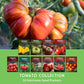 10 Tomato Seed Collection – Heirloom & Garden Favorites for Slicing, Sauces, Canning & Fresh Eating