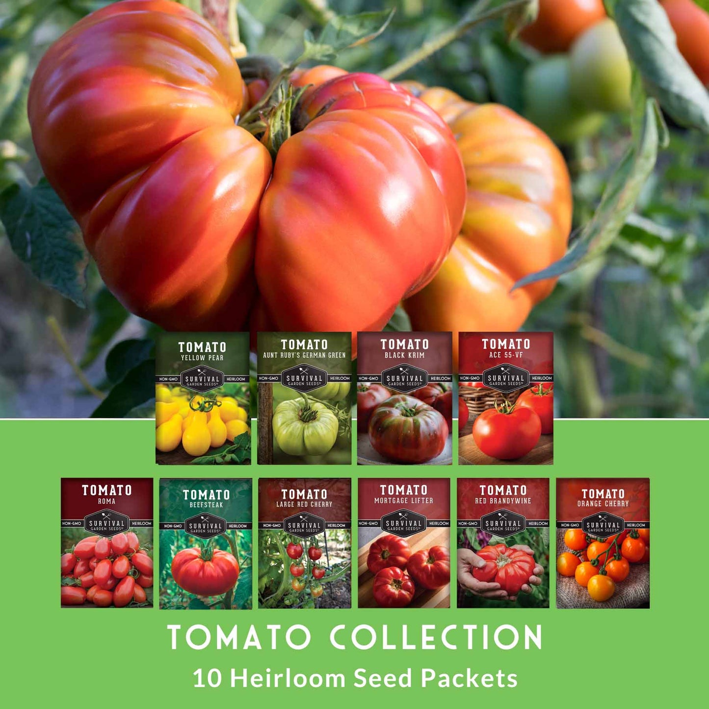 10 Tomato Seed Collection – Heirloom & Garden Favorites for Slicing, Sauces, Canning & Fresh Eating