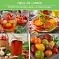 10 Tomato Seed Collection – Heirloom & Garden Favorites for Slicing, Sauces, Canning & Fresh Eating
