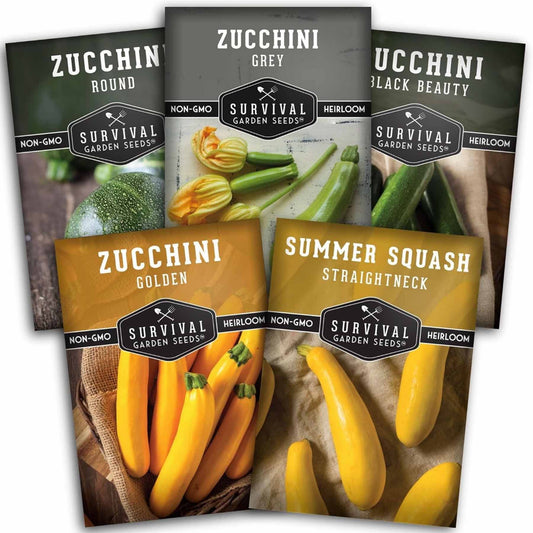 Zucchini & Summer Squash Seed Collection – Black Beauty, Round, Golden, Grey Zucchini & Straight Neck Yellow Squash