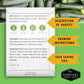 Zucchini & Summer Squash Seed Collection – Black Beauty, Round, Golden, Grey Zucchini & Straight Neck Yellow Squash