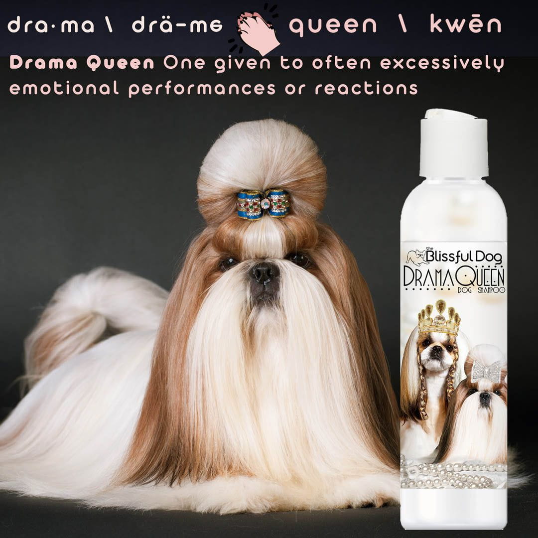 Shih Tzu Rich Bitch & Drama Queen Shampoo