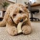 Flufflehorn Dental Antler - Durable Nylon Dog Chew Toy XL | USA Made
