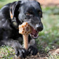 Honey Bone Dental Flower Tower - Juguete masticable para perros de nailon resistente XL | EE. UU.