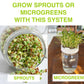 Jar Sprouts Growing Kit