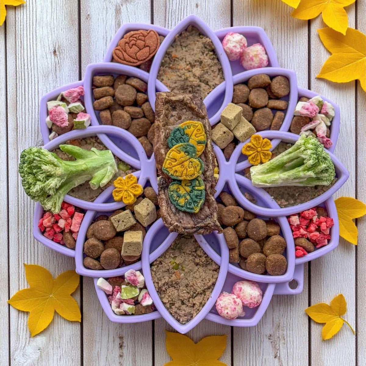 Cuenco para perros de alimentación lenta Mandala Softie eTray poco profundo con ventosas | Hecho en EE. UU.