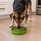 Bandeja de diseño para jardín eTray: comedero lento poco profundo para enriquecimiento canino | EE. UU.