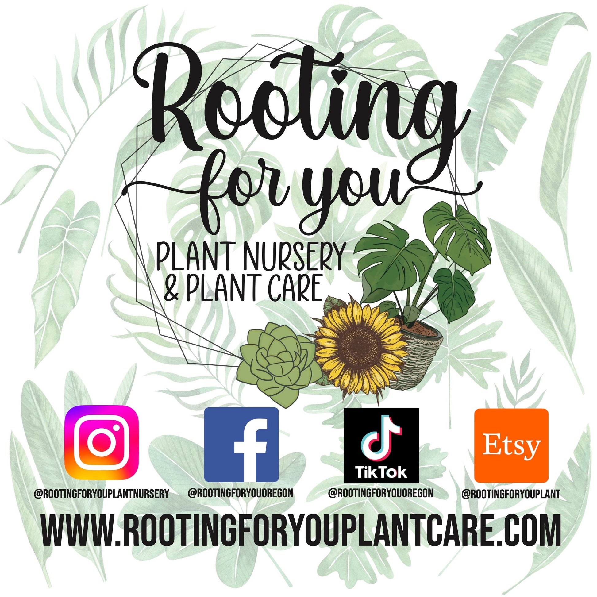 calathea potting mix CALATHEA Premium Potting Mix – Orchid Stuff Plus