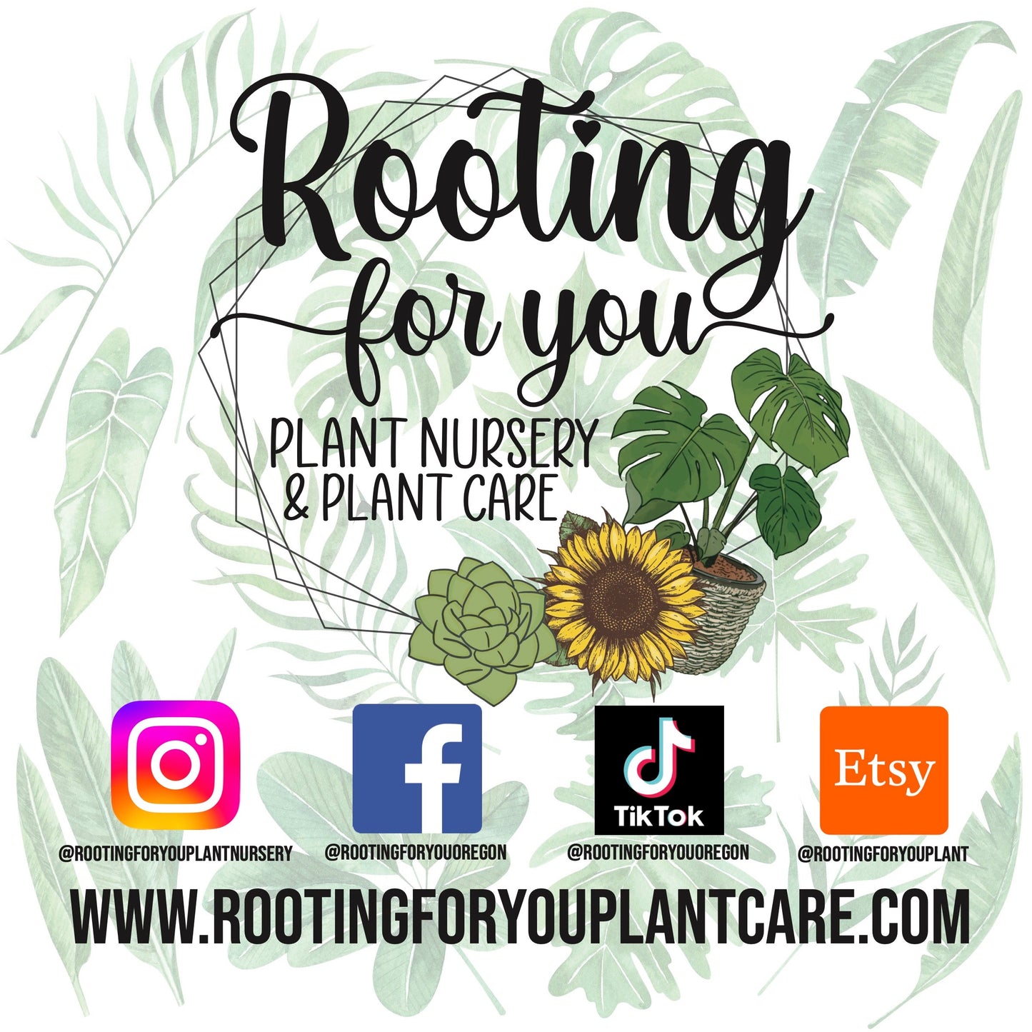 Avocado Tree Premium Potting Mix