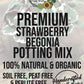 Strawberry Begonia Premium Potting Mix