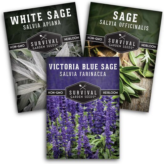 Sage Seed Collection – White Sage, Culinary Sage & Victoria Blue for Aromatic Gardens and Pollinator Support