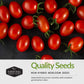 Salsa Garden Seed Collection – 5 Heirloom Non-GMO Varieties for Homemade Red & Green Salsa, Fresh Cooking & Food Preservation