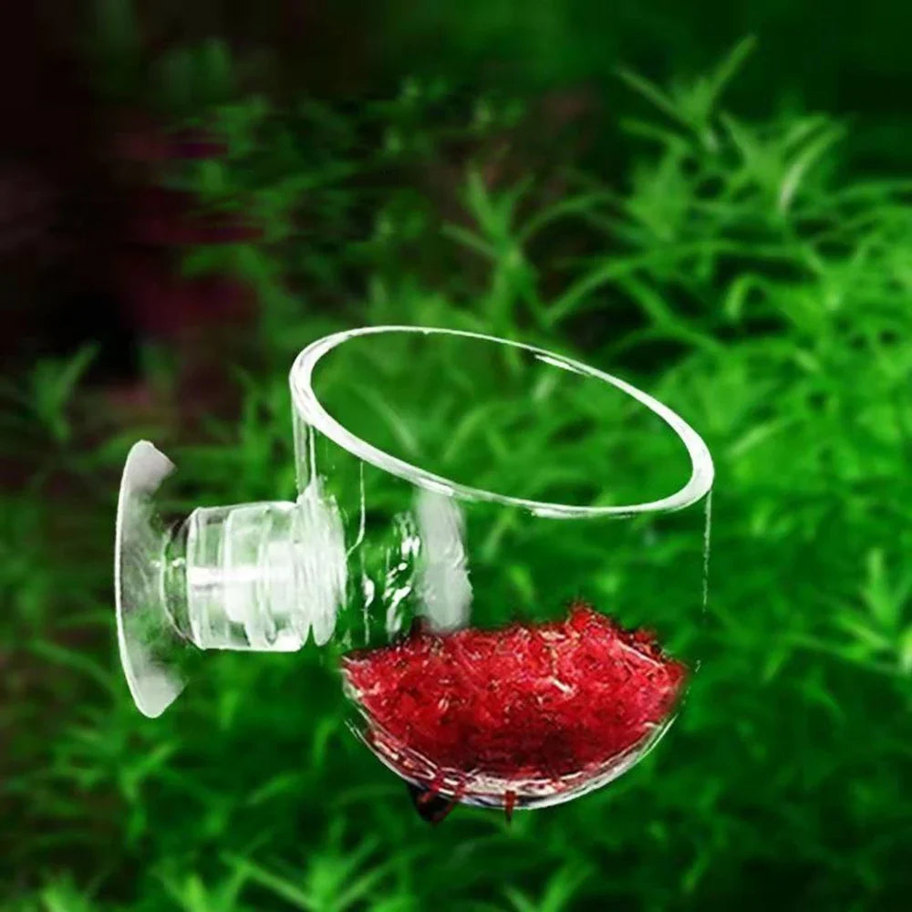 fish tank grass accessories Red Worm Cup Feeder Earthworm Feeding Water Cup Aquari – Orchid Stuff Plus REVIEW of the Daiwa Lure Type:Bladed Jig lightweight spinning reel Features Designed for Aquatic