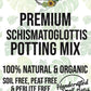 Schismatoglottis Premium Potting Mix