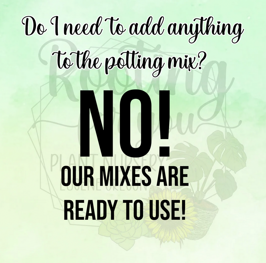 Camellia Premium Potting Mix