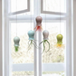 Hanging Air Plant Buddies