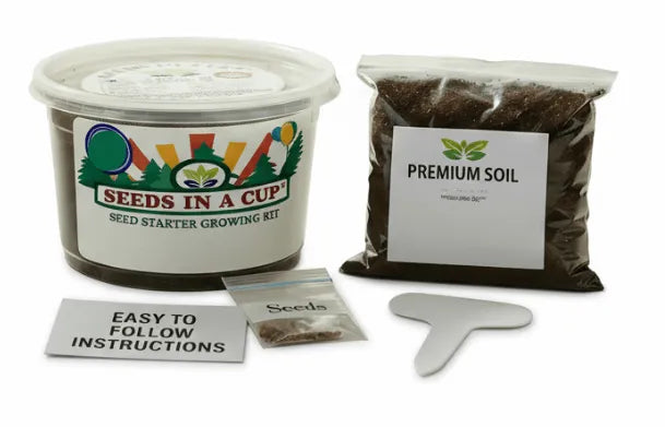 Thyme Grow Kit | Grow Fresh Thyme from Seed | Seeds In A Cup®