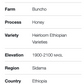 Ethiopia Buncho Honey Sidama Light Roast