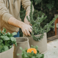 Classic Fabric Pots