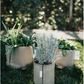 Classic Fabric Pots