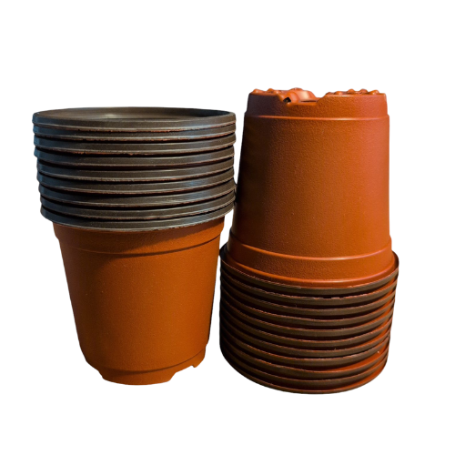 Seedling Transplant Pots
