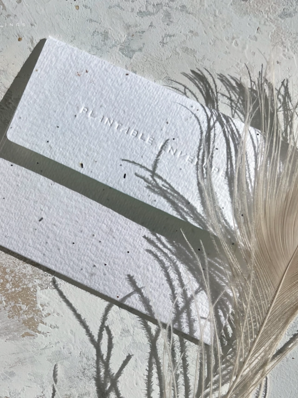 In the Shade - Seeded Sympathy Card