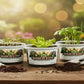 Rhubarb Grow Kit | Grow Perennial Pie Plant from Seed | Seeds In A Cup®