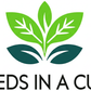 Rosemary Grow Kit | Grow Fresh Rosemary from Seed | Seeds In A Cup®