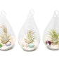 SALE - Set of 3 Teardrop Beach Terrariums with White Sand