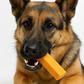 Pumpkin Yak Cheese Chew for Dogs – Medium