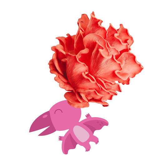 Shroomadactyl - Pink Oyster Mushroom Grow Kit - 6.5 LBS