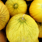 50 Golden Beauty CASABA MELON Cucumis Melo Fruit Seeds