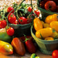 40 BANANA LEGS TOMATO Heirloom Yellow Lycopersicon Fruit Vegetable Seeds