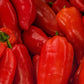 60 RED MARCONI PEPPER Rossa Large Sweet Italian Frying Capsicum Annuum Seeds